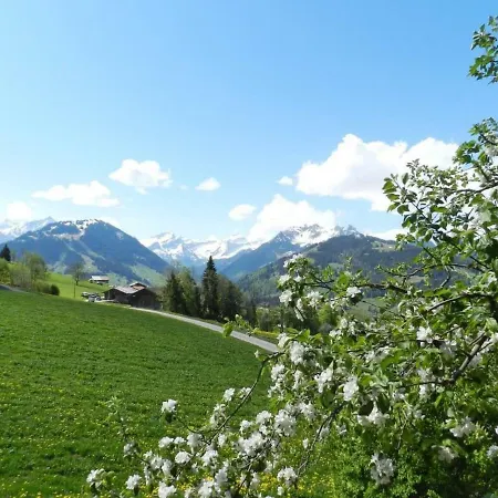Walker's Hus * Saanen